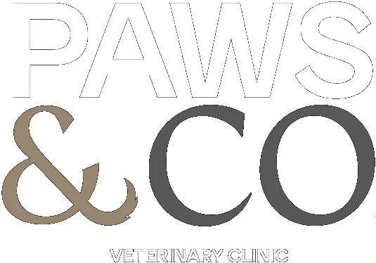 Paws and Co, Veterinary Clinic