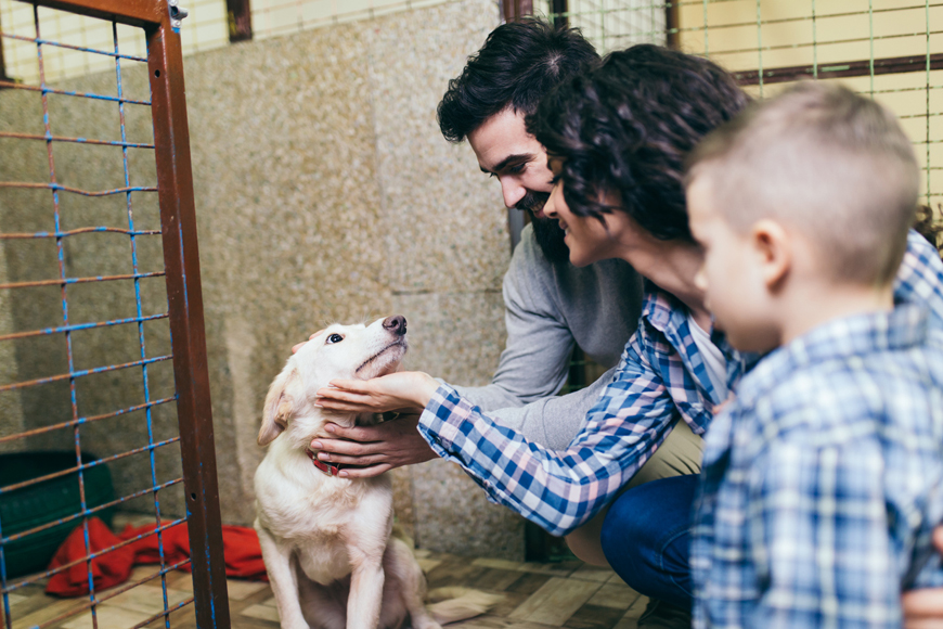 Family meeting a rescue dog at a shelter