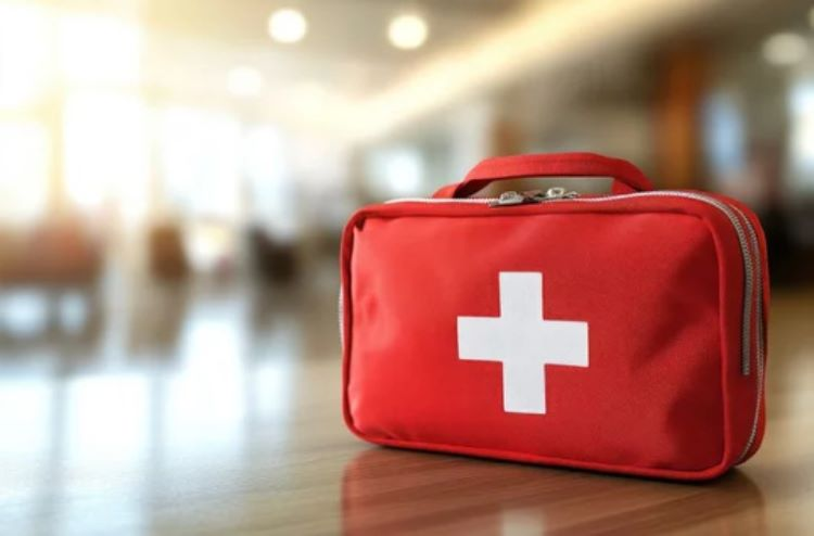 Pet first aid kit